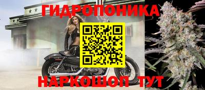 Альфа ПВП Донецк