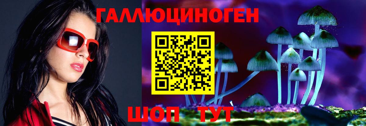 Псилоцибиновые грибы GOLDEN TEACHER Назарово